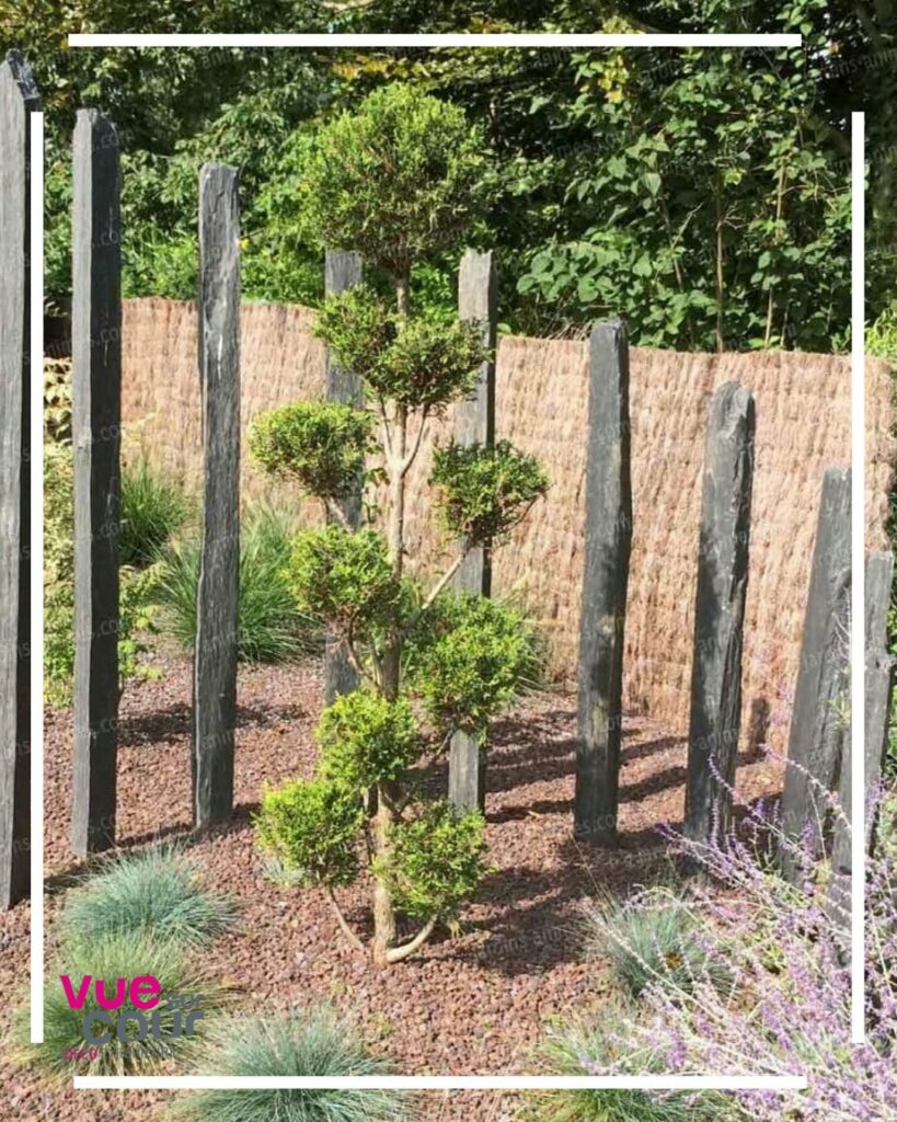 Jusqu'à -50 % sur nos expos !